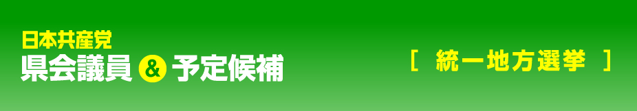県会議員＆予定候補