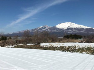 0413　軽井沢へ　藤野