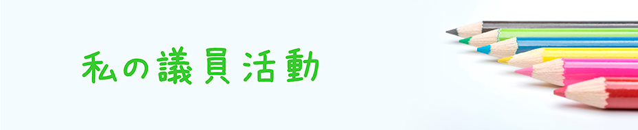私の議員活動