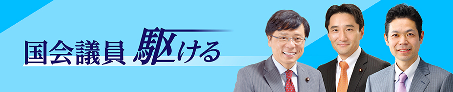 国会議員駆ける