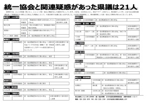 統一協会ビラ0228